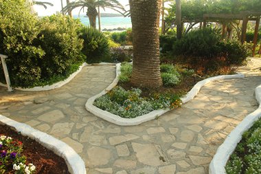 patika plaj arka plan üzerinde