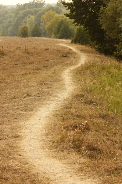 Trail near the forest — Stock Photo, Image