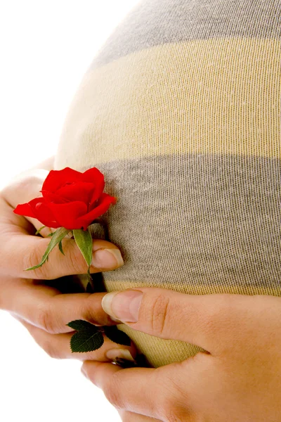 Femme enceinte avec une rose — Photo