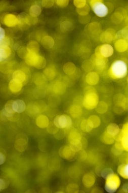 Yeşil Çimen Arkaplanı