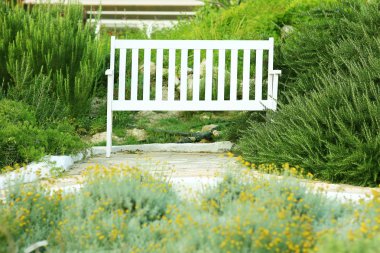 Yeşil parktaki ahşap bank.