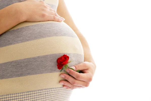 Pregnant woman with rose — Stock Photo, Image