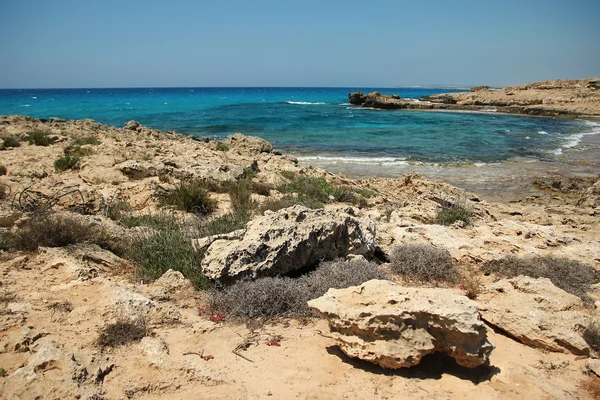 Landscape with sea and shore — Stock Photo, Image