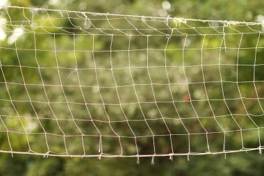 Voleybol açık için net