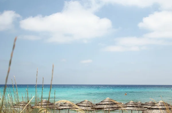 Sombrillas de caña en la playa tropical — Foto de Stock