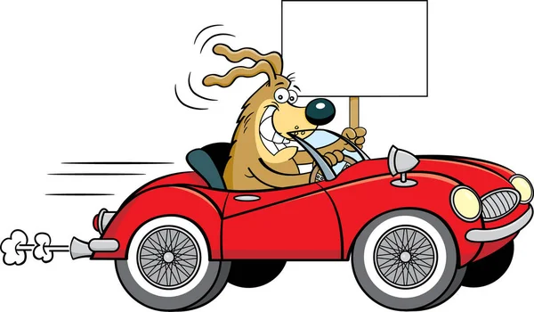 ワイヤーホイール付きコンバーチブルスポーツカーを運転する犬の漫画イラストが看板を持ちながら — ストックベクタ