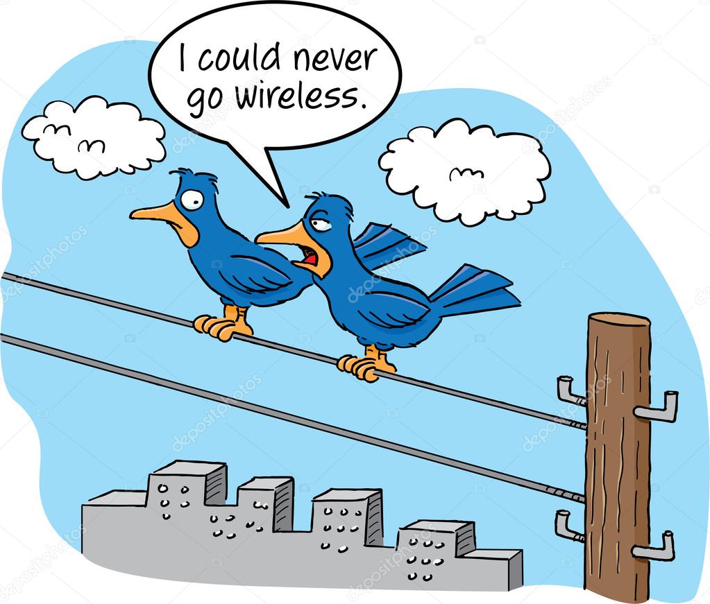 Две птицы на проводах. Силуэт птицы на ветке. Птицы разговаривают на проводе. Птицы разговаривают на проводе. Песня two birds.