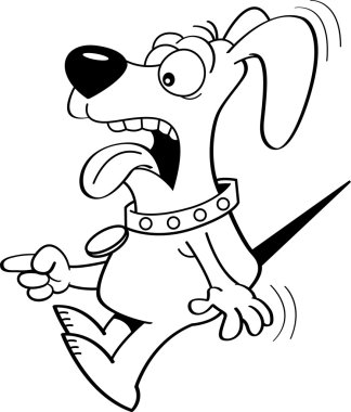 Siyah ve beyaz köpek işaret bakım.