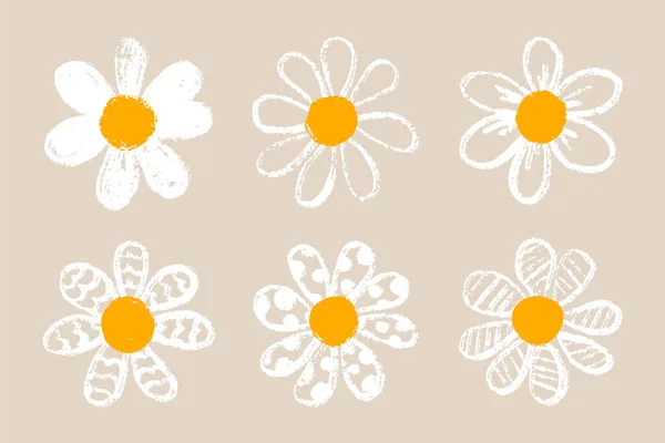 Isolierte süße Gänseblümchen-Blume Set — Stockvektor