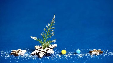 Noel ağacı dalı ve dekoratif kar taneleri. Noel Zamanı.