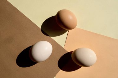 Renkli taze yumurtalar. Yumurta kompozisyonu. Paskalya yumurtaları.