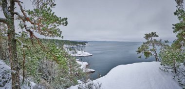 Sahilin kıyısındaki bir dağda kar ve çamların panoramik manzarası ve arka planda deniz ve ufuk.