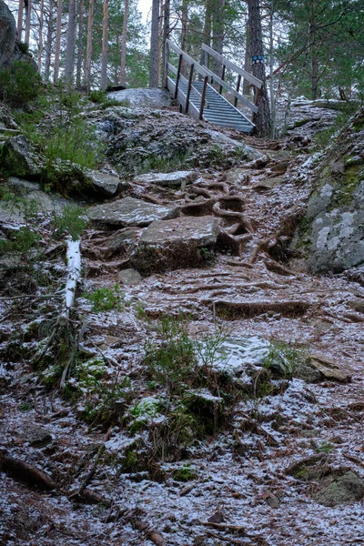 Caminho Floresta Que Leva Uma Colina Até Uma Escada Neve — Fotografia de Stock