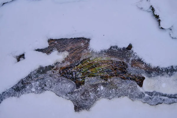 Strumień Pod Lodem Śniegiem — Zdjęcie stockowe