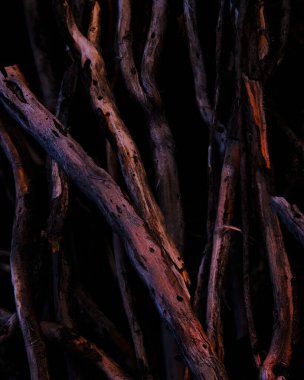 Akşamları dallar yerde.