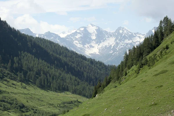 Vista Panorámica Panorama Montaña Los Alpes Italianos Con Espacio Copia —  Fotos de Stock