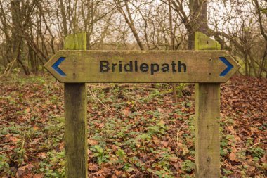 Tahta bir bridleway işareti ormanlık alandaki yolun yönünü gösteriyor.