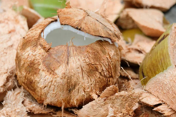 Volwassen Kokosvlees Grondstof Van Veel Producten Zoals Kopra Kokosolie Gedroogde — Stockfoto