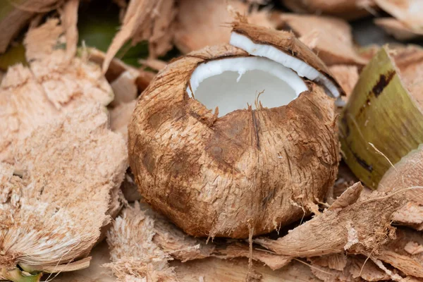 Volwassen Kokosvlees Grondstof Van Veel Producten Zoals Kopra Kokosolie Gedroogde — Stockfoto