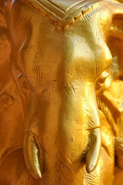 Altın yüz bir fil heykel. — Stok fotoğraf