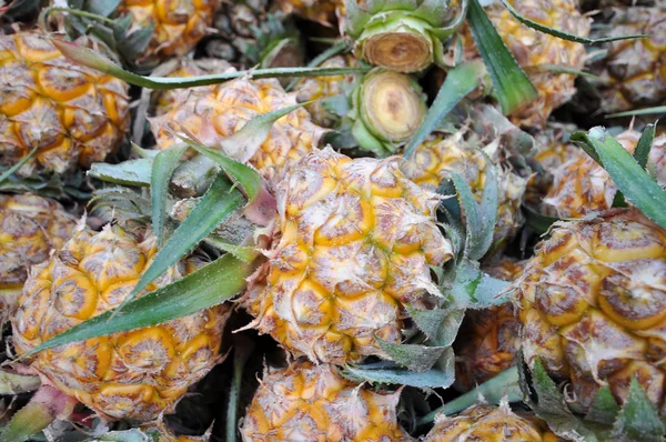 Ananas — Stockfoto