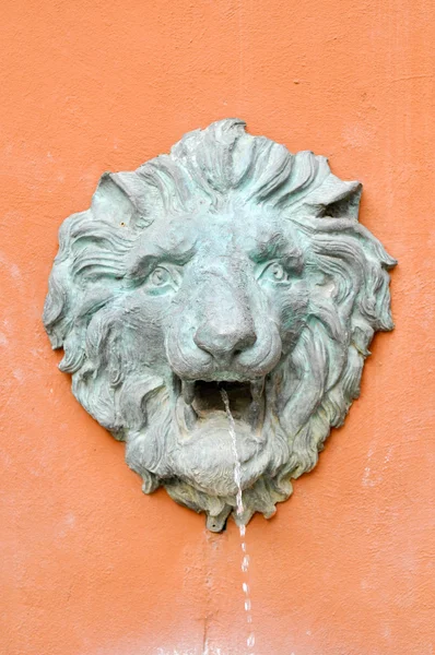 Fuente de león — Foto de Stock