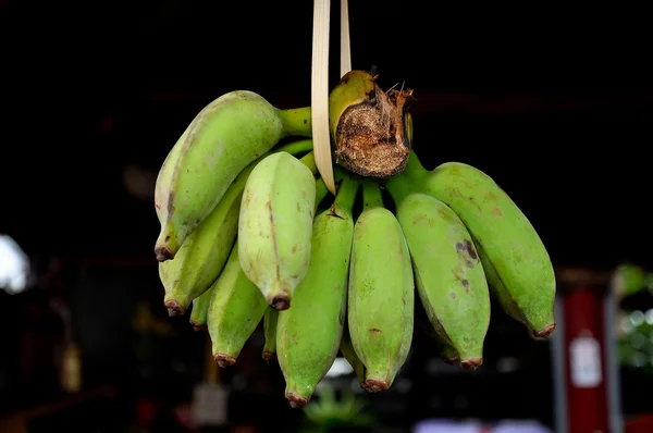 Yong banaan — Stockfoto