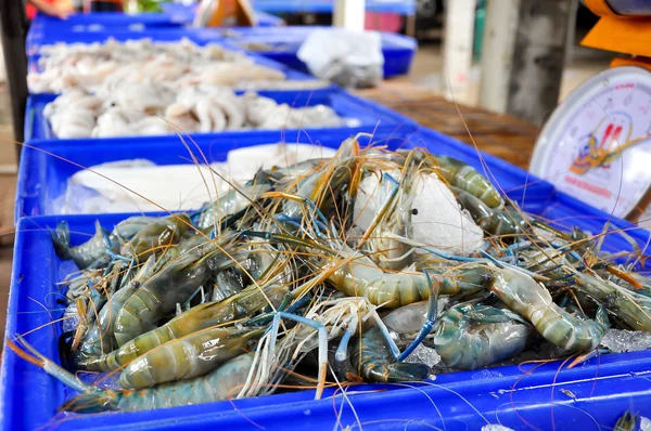 Langostino malayo gigante — Foto de Stock