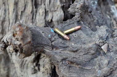 .22 lr