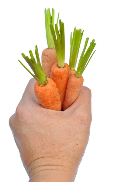 Zanahoria bebé —  Fotos de Stock