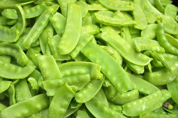 Sugar Pea — Stock Photo, Image