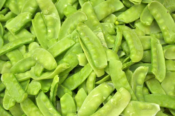 Sugar Pea — Stock Photo, Image