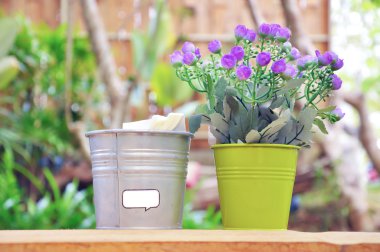 Minik mor çiçekler 