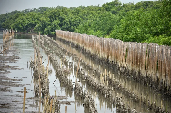 Line breakwater — Stock Photo, Image