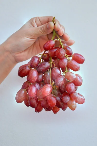 Red grapes — Stock Photo, Image