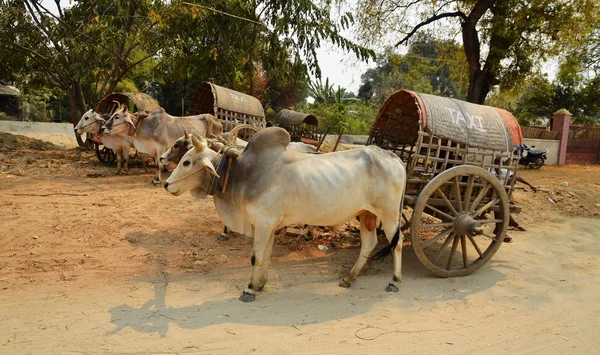 Mandalay, Myanmar (Birmânia ) — Fotografia de Stock