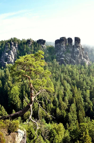 Rock formation Bastei in Saxon Switzerland, Germany — Stock Photo, Image