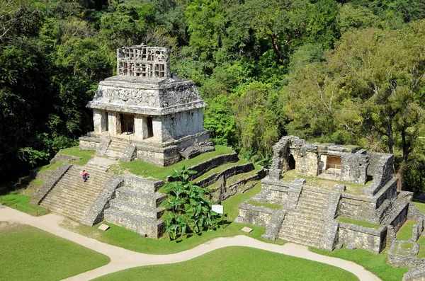 Palenque maja romok Mexikóban nap temploma — Stock Fotó