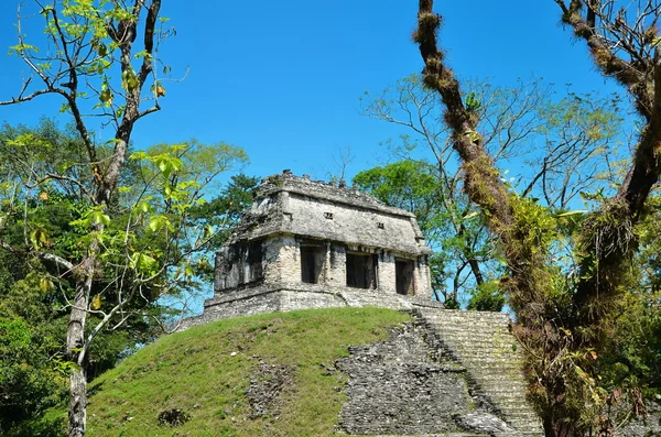 Palenque Antigos templos maias — Fotografia de Stock