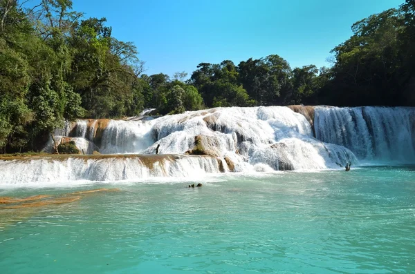 Waterfal Agua Azul Chiapas Messico — Foto Stock