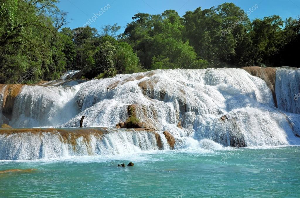 depositphotos_52486001 stock photo waterfal agua azul chiapas mexico