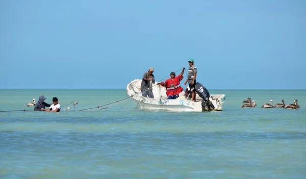 Mexiko, Celestun - 20 mars 2014: Fishermans i Celestun — Stockfoto