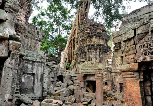 Αρχαίο ναό Ta Prohm Angkor Wat Καμπότζη — Φωτογραφία Αρχείου