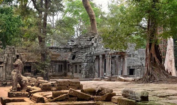 Starożytnej świątyni Ta Prohm Angkor Wat, Kambodża — Zdjęcie stockowe