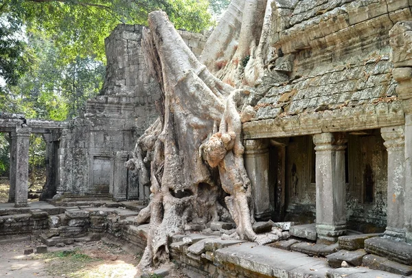 Ősi templom Kambodzsa Ta Prohm Angkor Wat — Stock Fotó