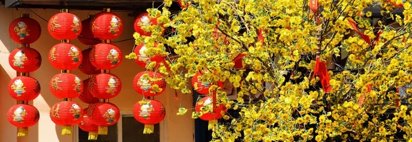 Lampu merah Chinease dengan pohon — Stok Foto