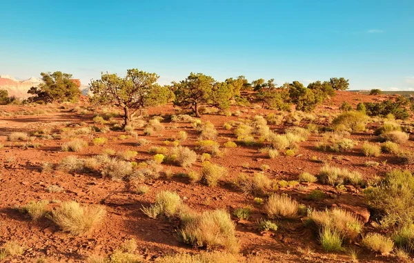 Woestijn landschap in het Arches National Park — Stockfoto