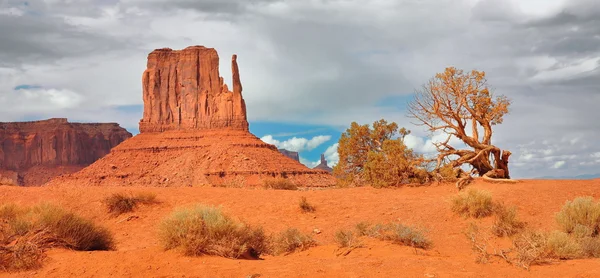 Monument Valley Navajo Tribal Park Arizona EUA — Fotografia de Stock