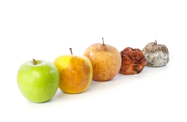 Cinco maçãs sucessivamente em vários estados da decadência — Fotografia de Stock