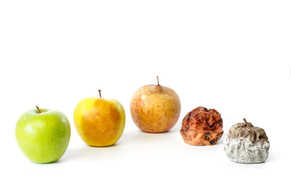 Five apples in different stages of decay — Stock Photo, Image